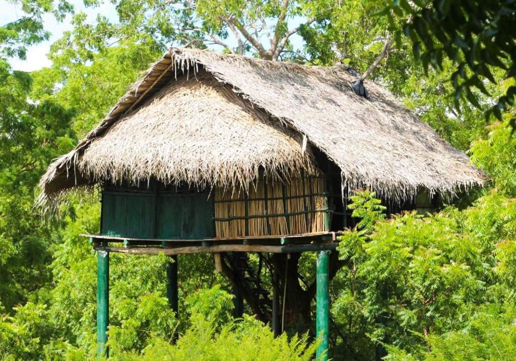 Yala Beddegama Eco Hotel Kataragama Exterior photo