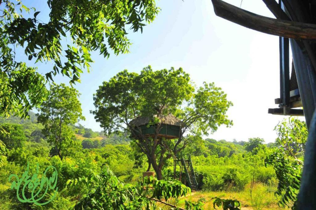 Yala Beddegama Eco Hotel Kataragama Exterior photo