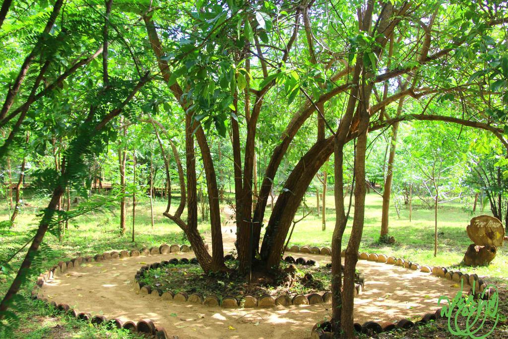 Yala Beddegama Eco Hotel Kataragama Exterior photo
