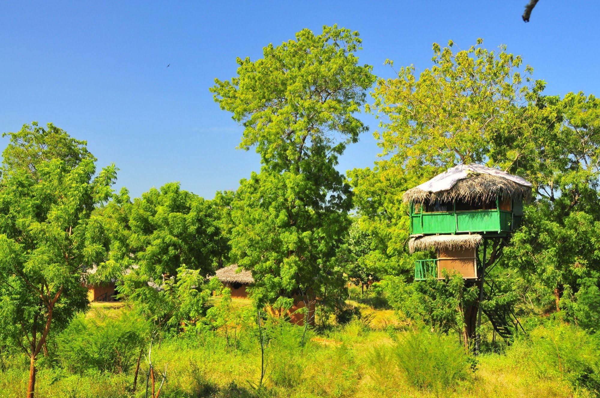 Yala Beddegama Eco Hotel Kataragama Exterior photo