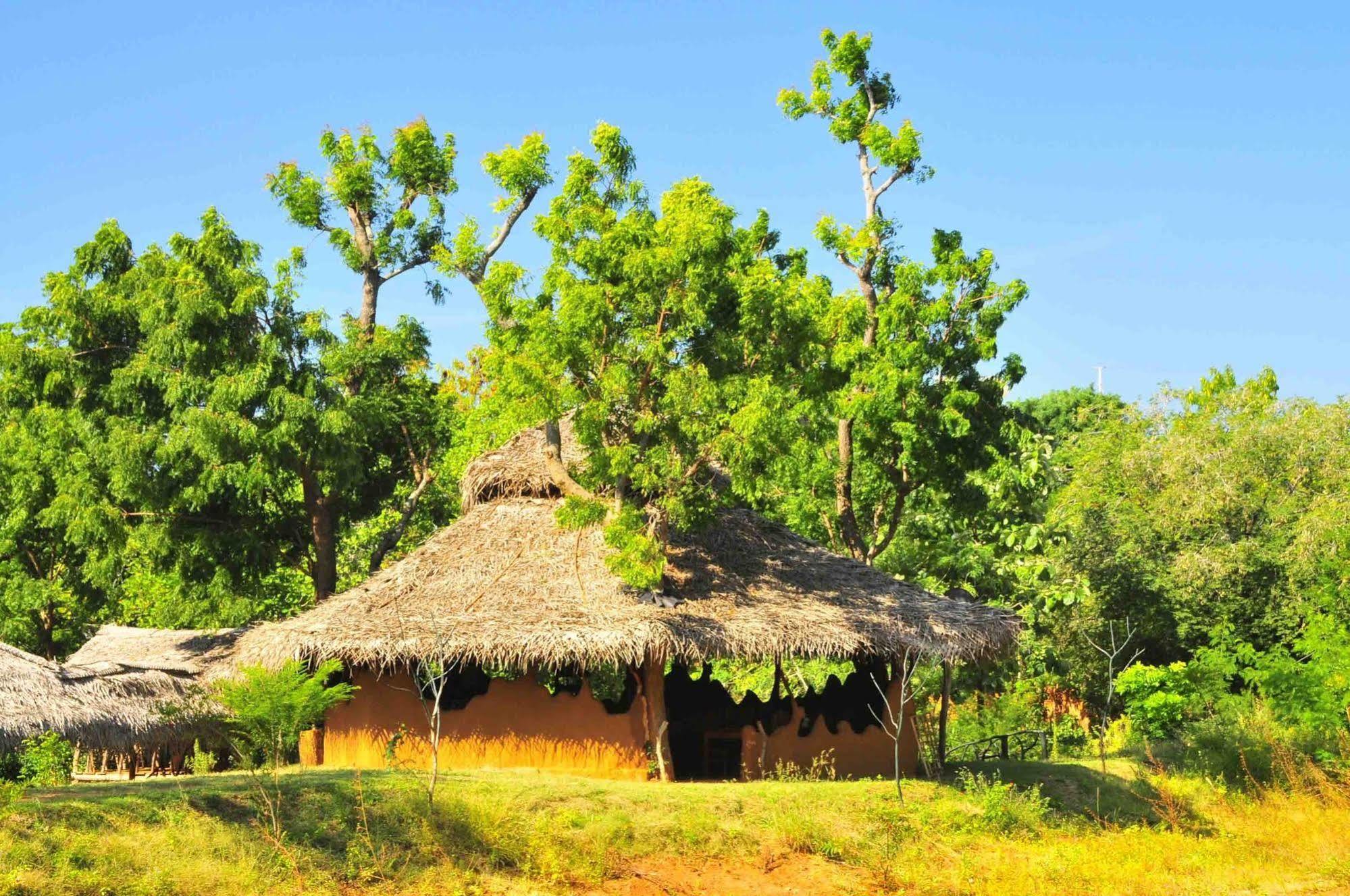 Yala Beddegama Eco Hotel Kataragama Exterior photo